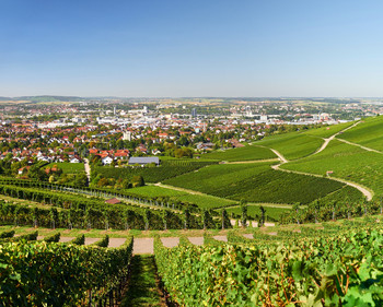 Landfläche in Heilbronn mit Blick auf Stadt