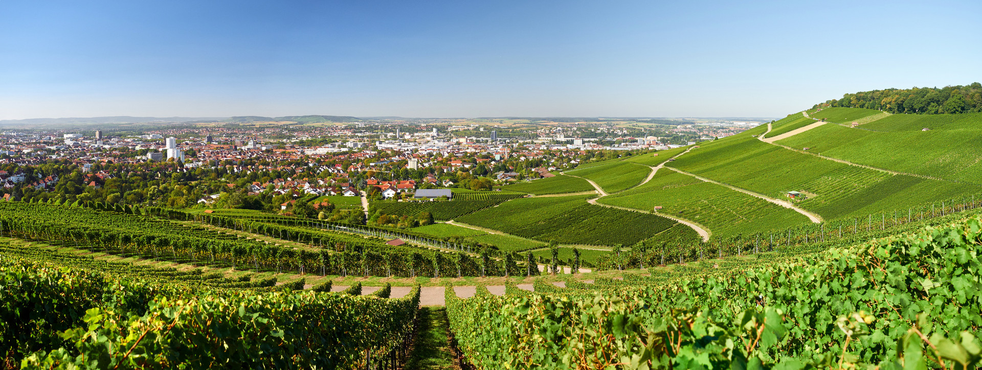 Landfläche in Heilbronn mit Blick auf Stadt