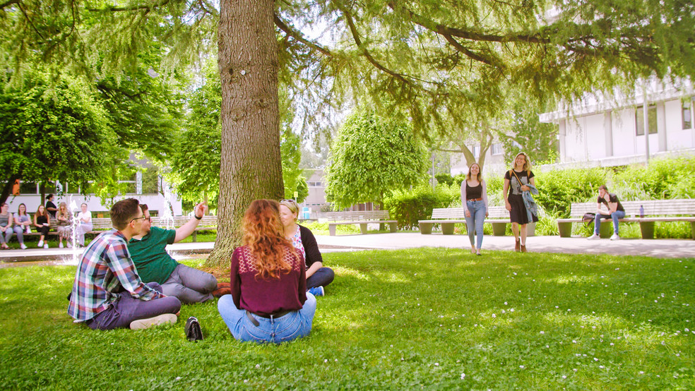 Teilnehmende sitzen auf Wiese