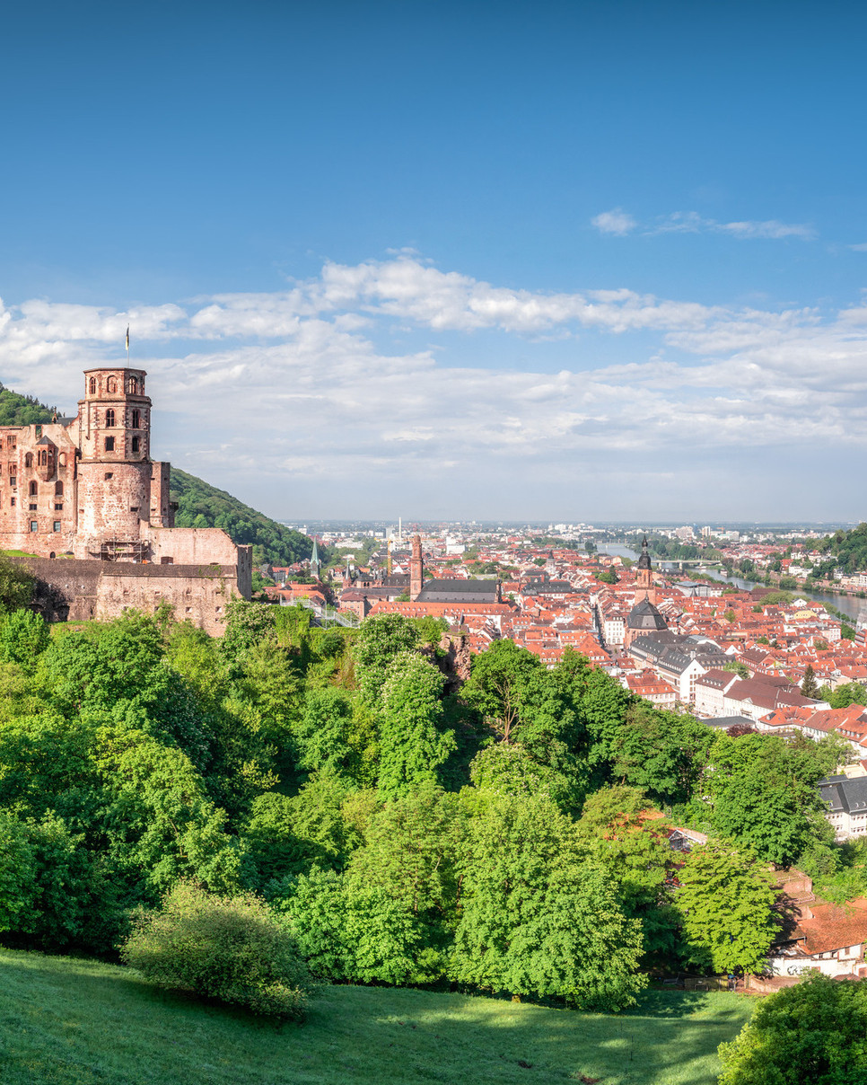 Blick auf Heidelberg samt Schloss