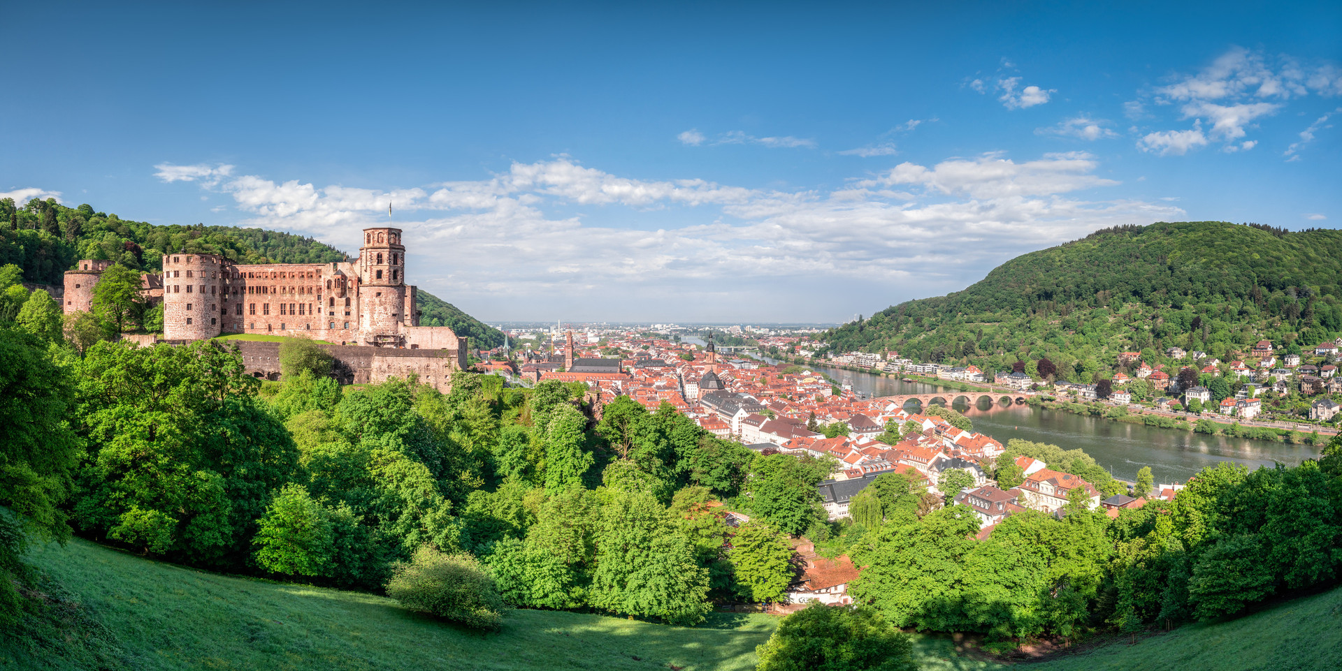 Blick auf Heidelberg samt Schloss