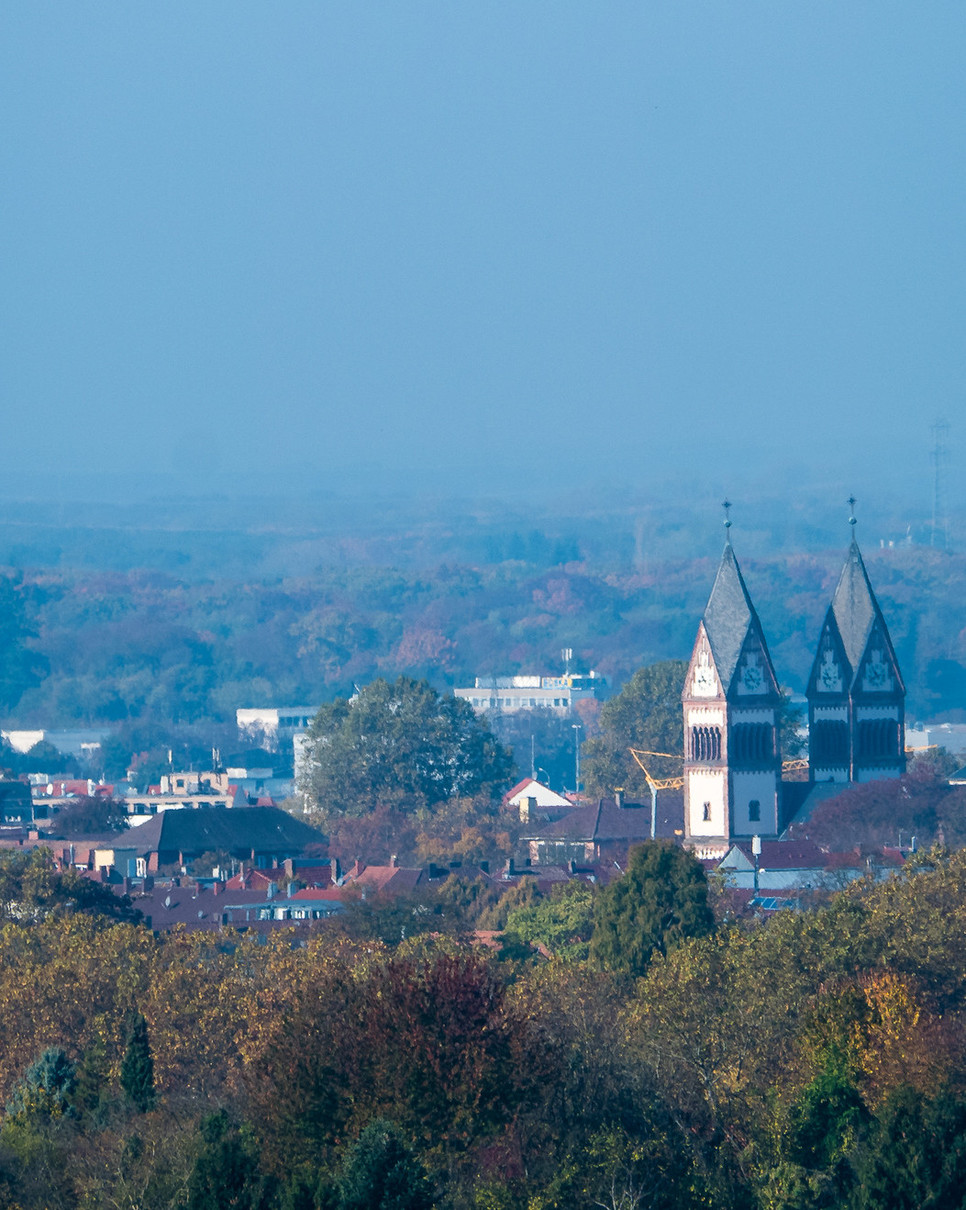 Blick auf Offenburg aus der Ferne